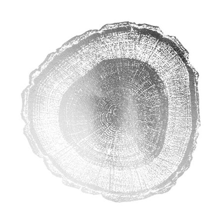 Silver Foil Tree Ring I - Metallic Foil by Vision Studio art print
