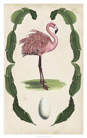 Antiquarian Menagerie - Flamingo I by Naomi McCavitt art print