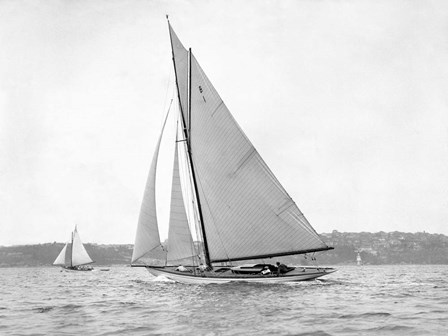Victorian sloop on Sydney Harbour, 1930 art print