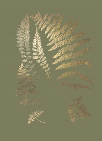 Gold Foil Ferns II on Mid Green - Metallic Foil by Vision Studio art print