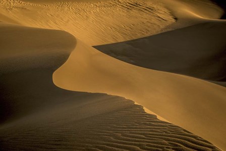 Sand Dunes by Dan Ballard art print
