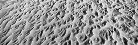 Detail of sand dunes at Anza Borrego Desert State Park, California by Panoramic Images art print