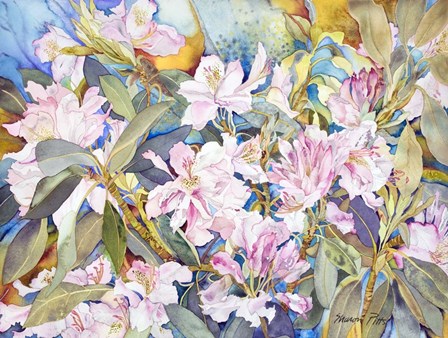 Rhododendrons by Sharon Pitts art print