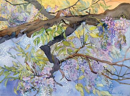 Wisteria, Van Vleck by Sharon Pitts art print
