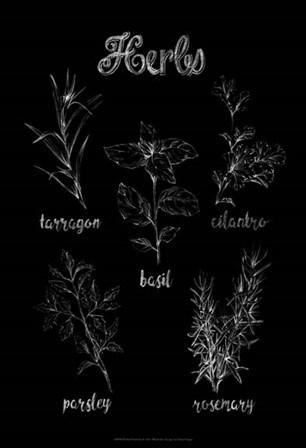 Herb Varieties by Ethan Harper art print