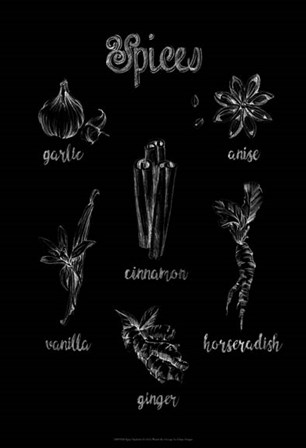 Spice Varieties by Ethan Harper art print