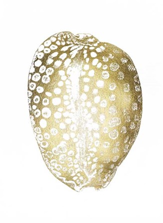 Gold Foil Shell II by Vision Studio art print