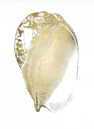 Gold Foil Shell IV by Vision Studio art print