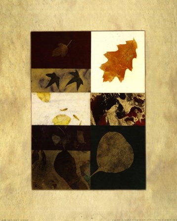 Essential Nature IV by Phillip Jaeger art print