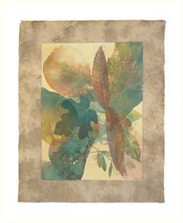 Rainforest Vert I by Phillip Jaeger art print