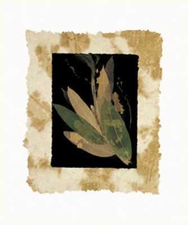 Phillip Jaeger - Floral Noir II Size 19.75x23.75 by Phillip Jaeger art print
