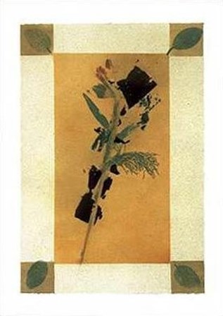 Floral II by Phillip Jaeger art print