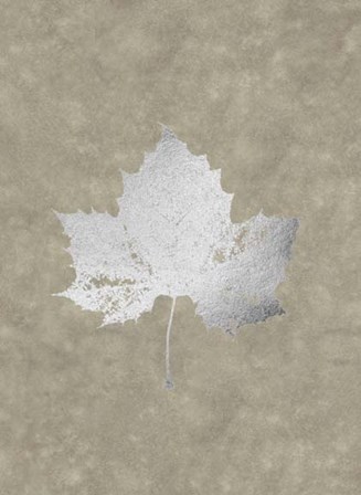 Silver Foil Leaf II on Lichen Wash by Jennifer Goldberger art print