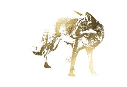 Gold Foil Fox by Naomi McCavitt art print