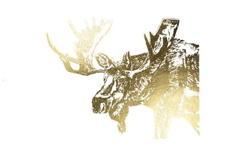 Gold Foil Moose by Naomi McCavitt art print