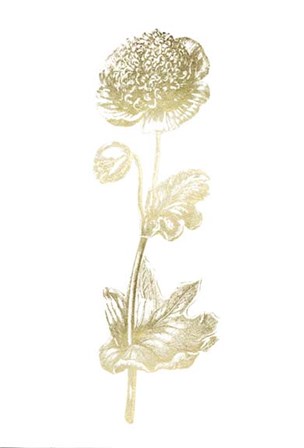 Gold Foil Singular Beauty I by Vision Studio art print