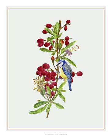 Lycium Barbarum I by Melissa Wang art print
