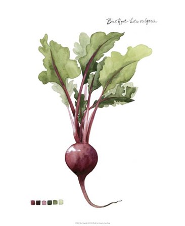 Root Vegetable II by Grace Popp art print