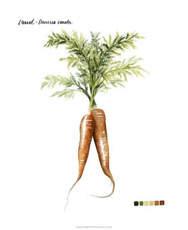 Root Vegetable III by Grace Popp art print