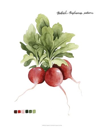 Root Vegetable IV by Grace Popp art print