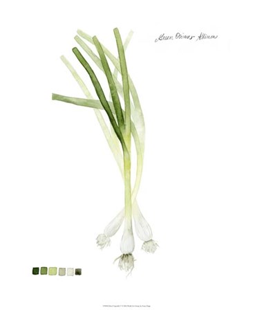 Root Vegetable V by Grace Popp art print