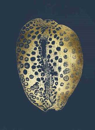 Gold Foil Shell II on Cobalt by Vision Studio art print