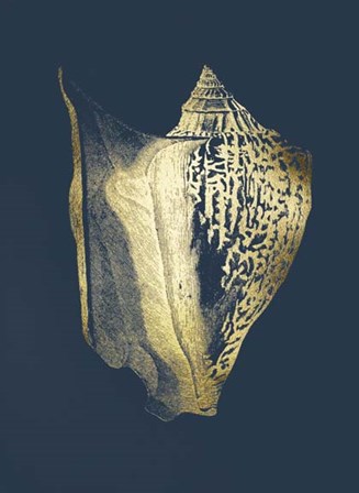 Gold Foil Shell III on Cobalt by Vision Studio art print
