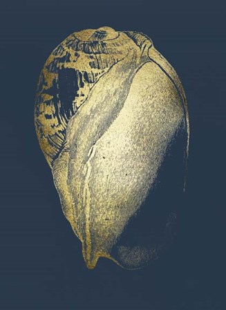Gold Foil Shell IV on Cobalt by Vision Studio art print