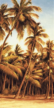 Island Sunset II by Rodolfo Jimenez art print