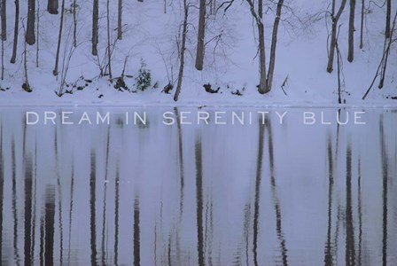 Dream in Serenity Blue by Art Licensing Studio art print