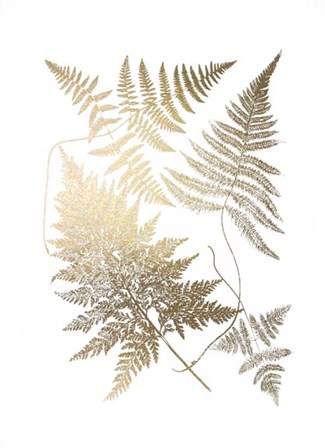 Gold Foil Ferns III by Vision Studio art print