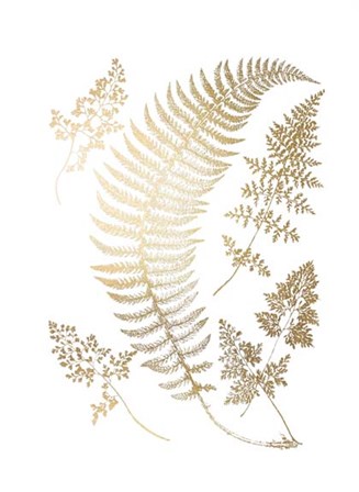 Gold Foil Ferns IV by Vision Studio art print