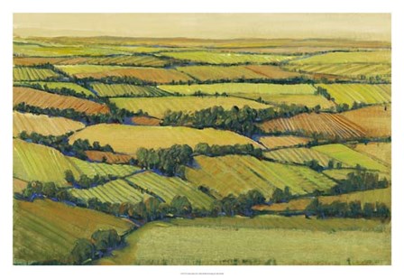 A View Above II by Timothy O&#39;Toole art print