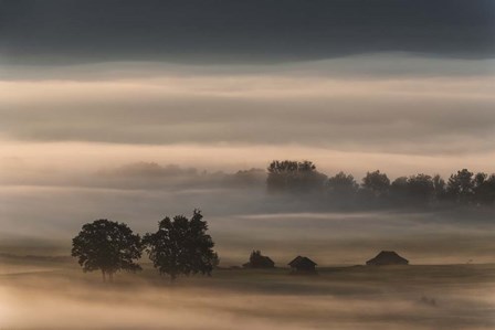 Dense Fog Over The Moos by Nina Pauli art print