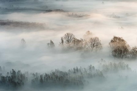 Winter Fog by Marco Galimberti art print