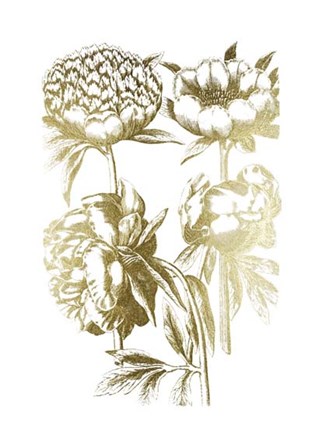 Gold Foil Floral Chintz II by Vision Studio art print