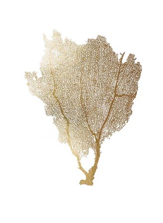Gold Foil Sea Fan I by Vision Studio art print