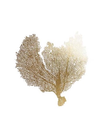 Gold Foil Sea Fan III by Vision Studio art print
