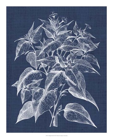 Foliage Chintz III by Vision Studio art print