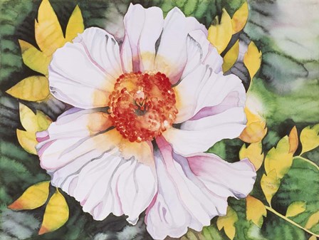 New Poppy by Mary Russel art print