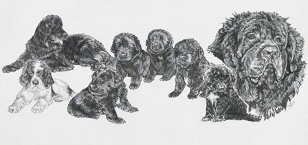 Growing Up Newfoundland by Barbara Keith art print