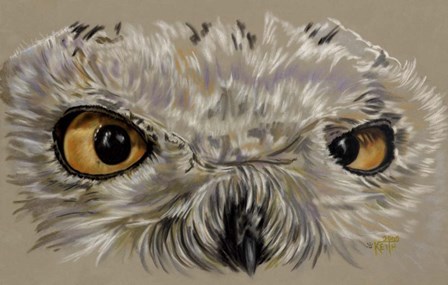 Snowy Owl by Barbara Keith art print
