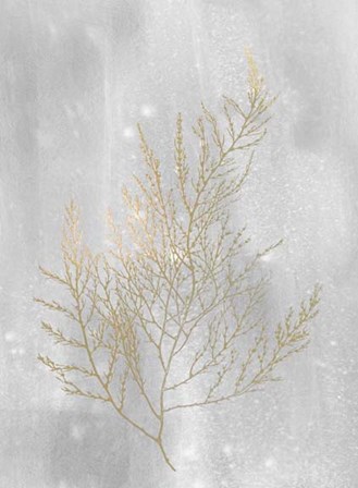 Gold Foil Algae II on Grey Wash by Jennifer Goldberger art print