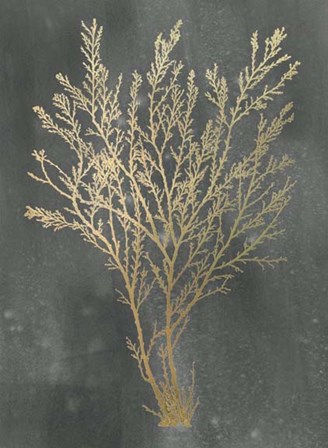 Gold Foil Algae I on Black Wash by Jennifer Goldberger art print