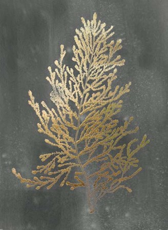 Gold Foil Algae IV on Black Wash by Jennifer Goldberger art print