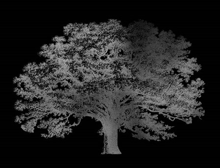Silver Foil Elephant Tree on Black by Vision Studio art print
