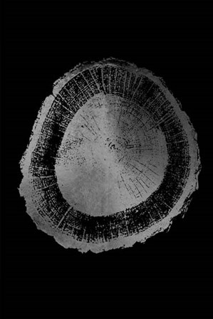 Silver Foil Tree Ring II on Black by Vision Studio art print