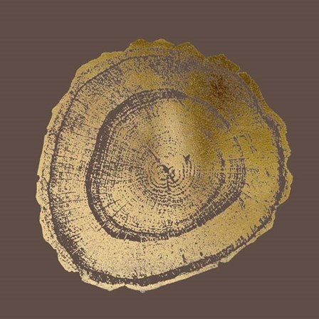 Gold Foil Tree Ring III on Bitter Chocolate by Vision Studio art print