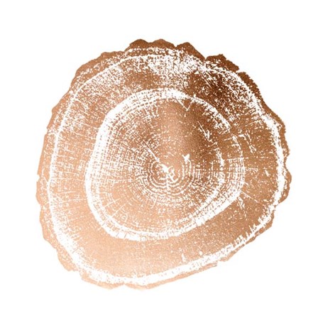 Rose Gold Foil Tree Ring III by Vision Studio art print