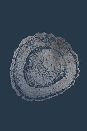 Silver Foil Tree Ring III on Cobalt by Vision Studio art print
